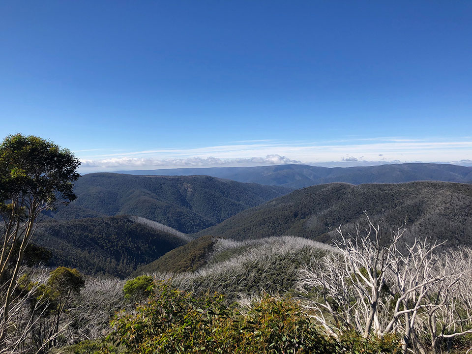 View from Mt Hotham in Summer